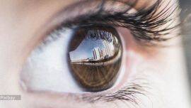 Eye